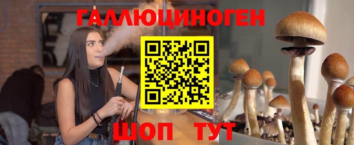 Галлюциногенные грибы прущие грибы Верхний Уфалей