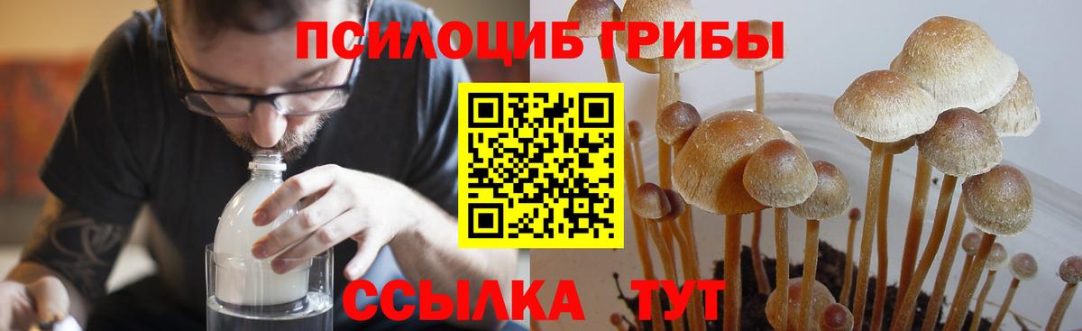 Верхний Уфалей  Псилоцибиновые грибы MAGIC MUSHROOMS  Вход с VPN 